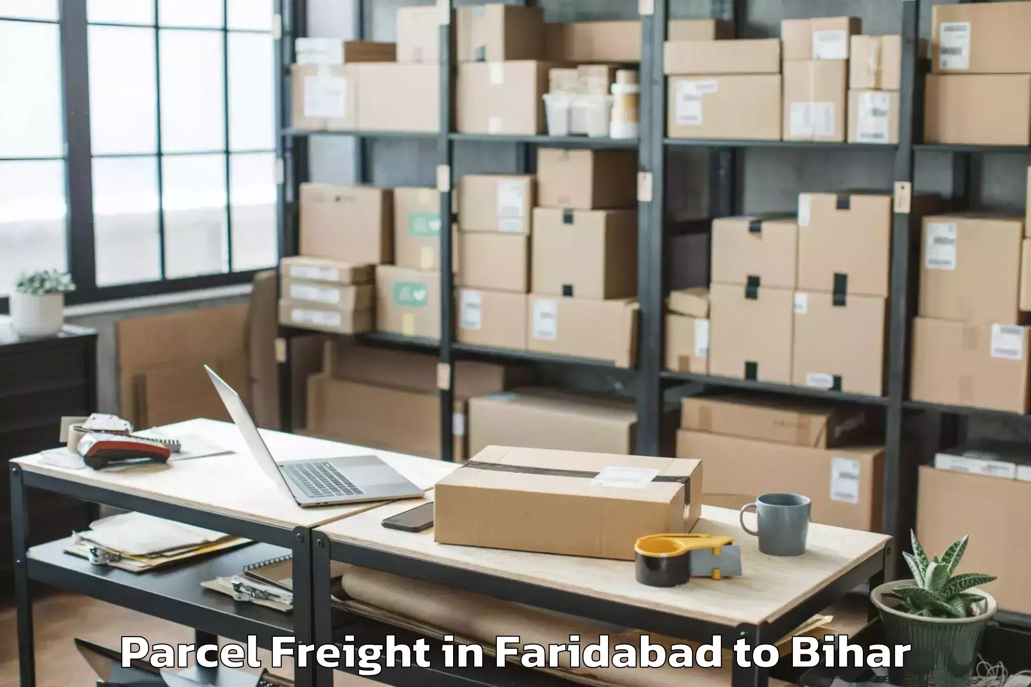 Book Faridabad to Harsidhi Pakariya Parcel Freight